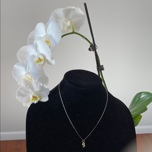 Argento Vivo letter S necklace